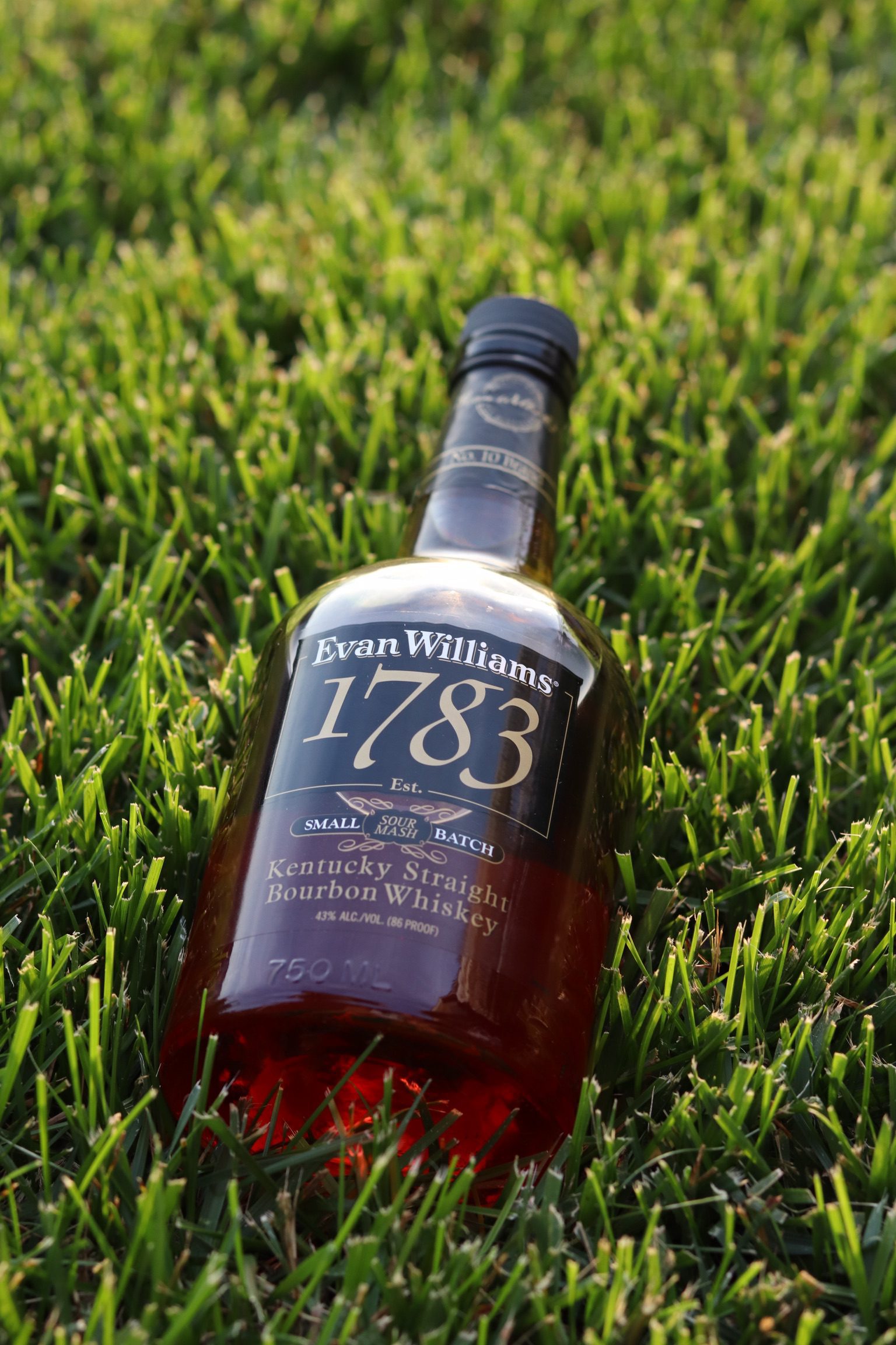 Bottle in the grass
